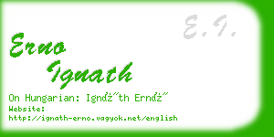 erno ignath business card